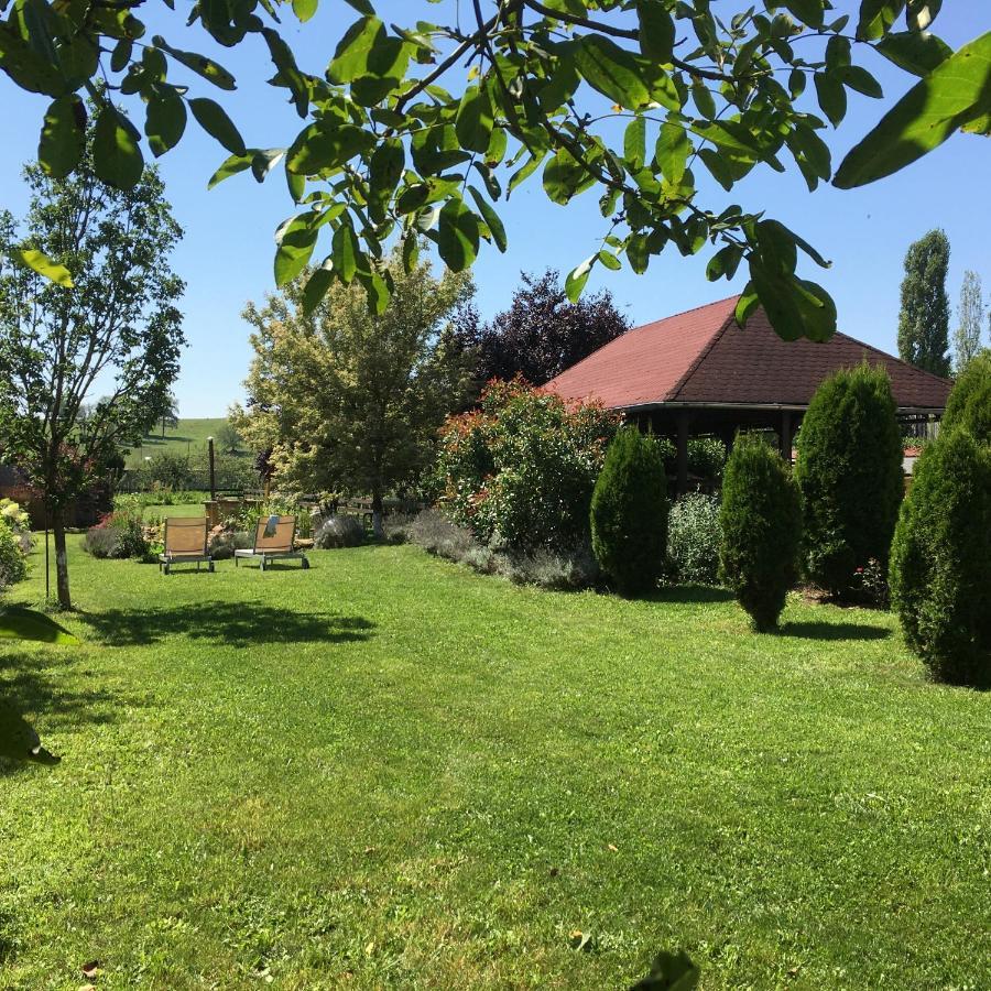 Domaine De La Mance - Maisonnette Avec Cheminee Vitrey-sur-Mance Dış mekan fotoğraf