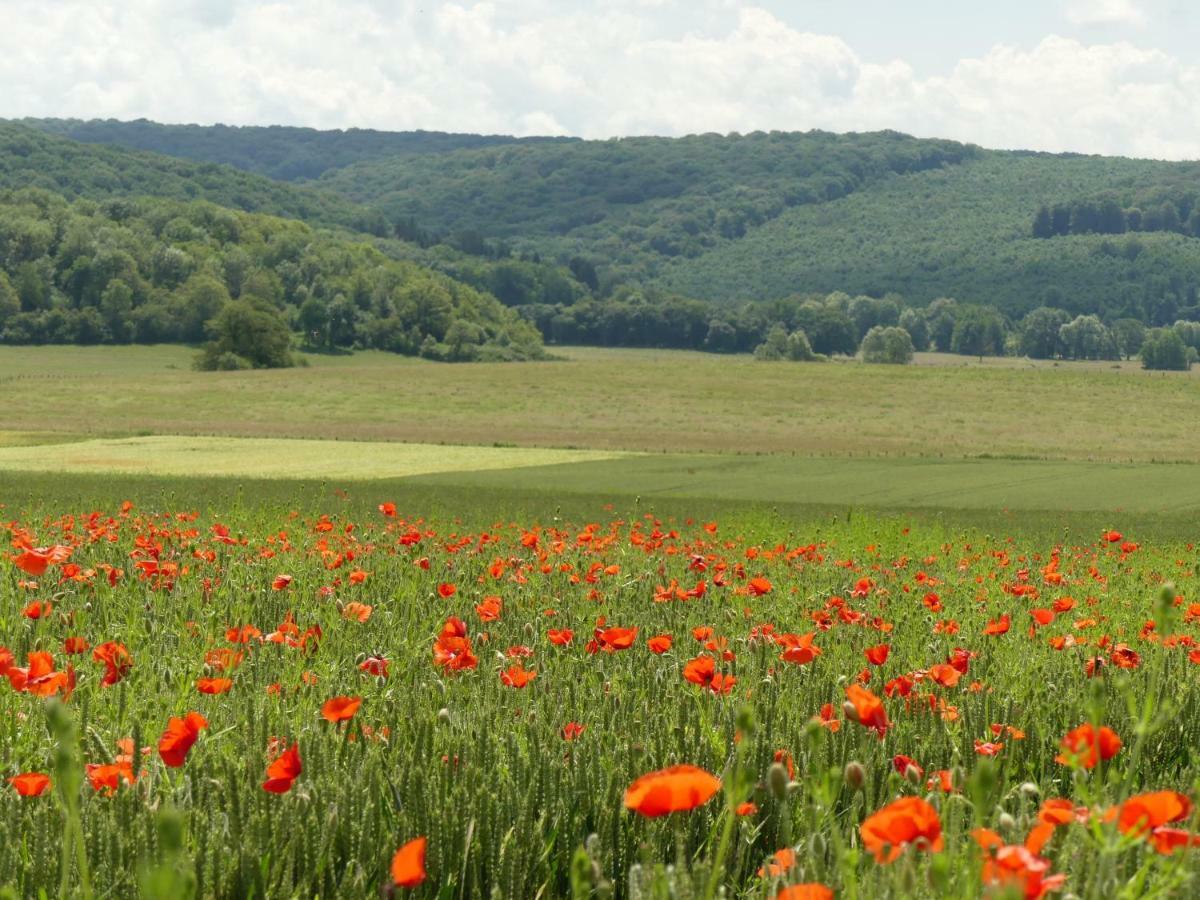 Domaine De La Mance - Maisonnette Avec Cheminee Vitrey-sur-Mance Dış mekan fotoğraf